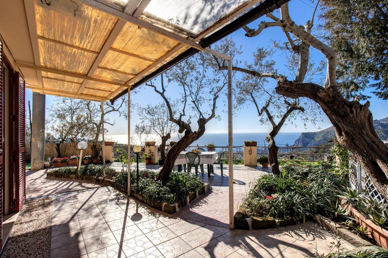 Il Pioppo - Country House Sea View Massa Lubrense Exteriér fotografie