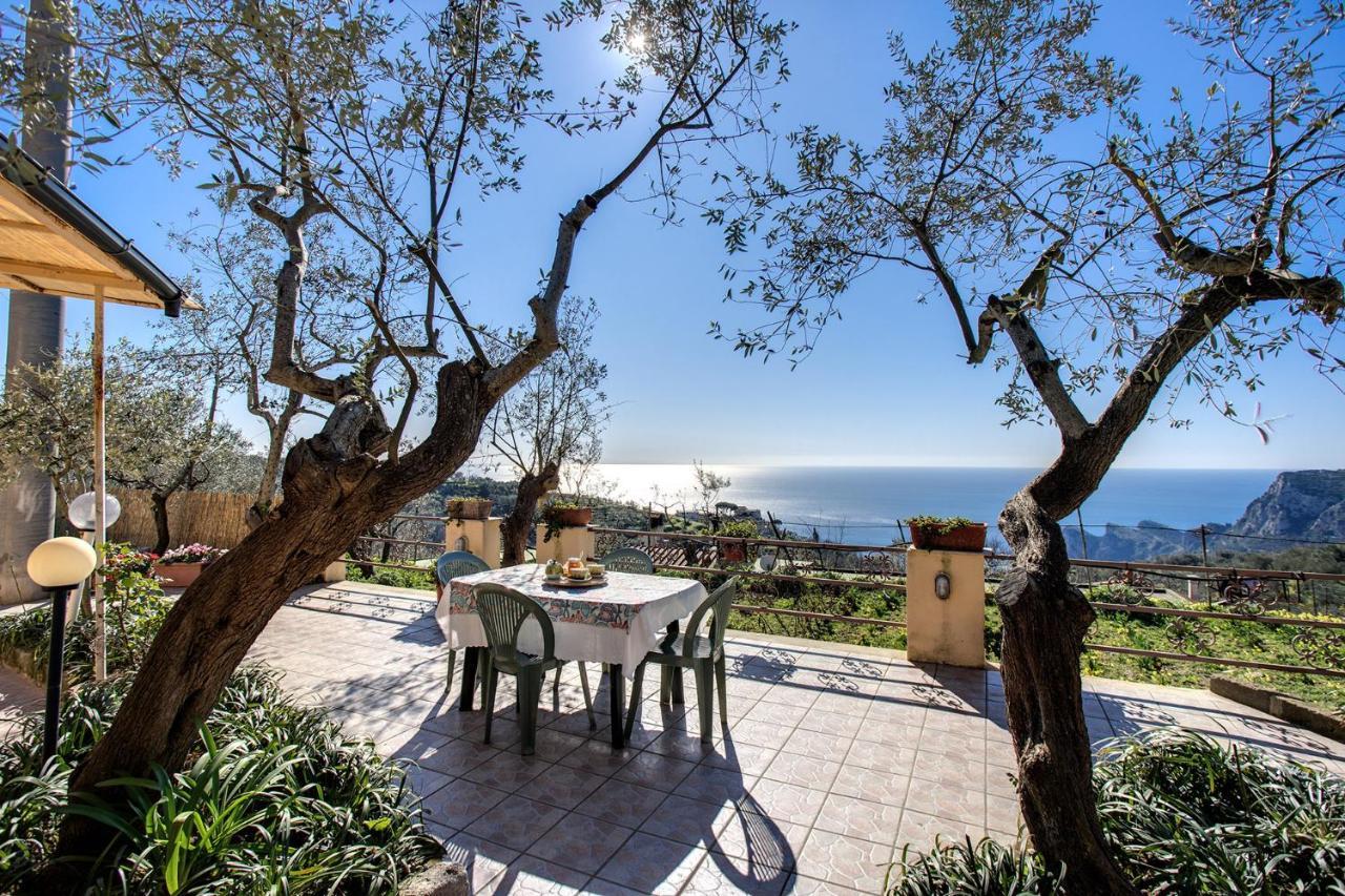 Il Pioppo - Country House Sea View Massa Lubrense Exteriér fotografie
